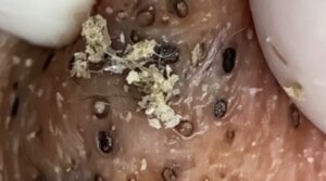 Learning Outcomes That Encourage Inquiry