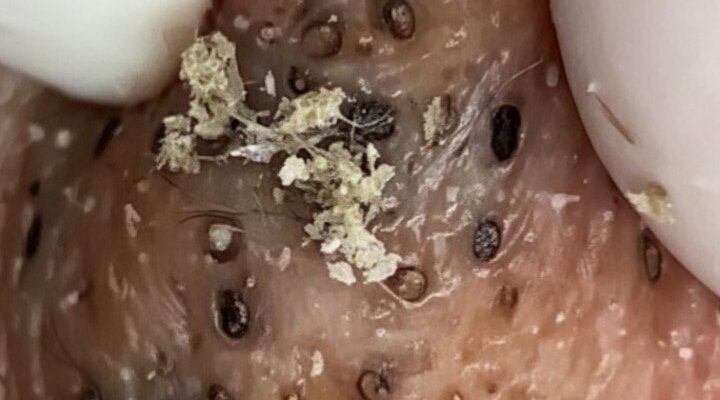 Learning Outcomes That Encourage Inquiry