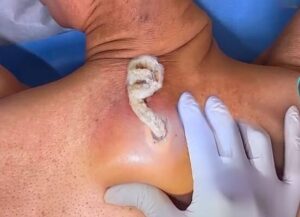 Slow Eating Builds Trust Between Mind and Stomach