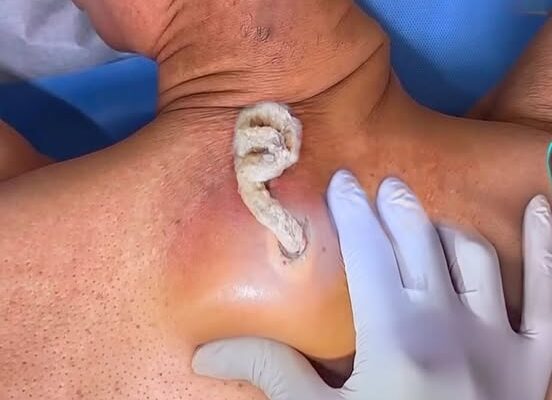 Slow Eating Builds Trust Between Mind and Stomach