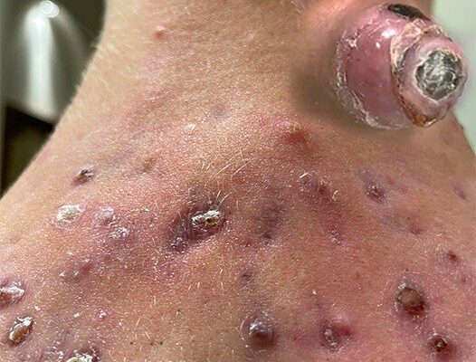 Nourishing Life Through Daily Habits