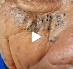 Holistic Wisdom for Modern Life