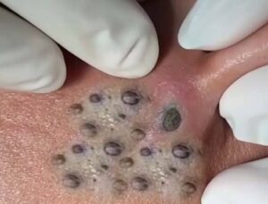 Daily Gratitude Mindset: Celebrating Everyday Small Moments